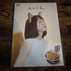 日清のどん兵衛 クリアファイル 吉岡里帆 星野源 - メルカリ