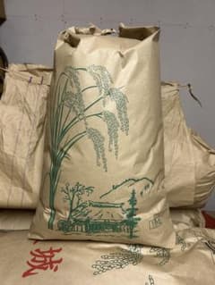 茨城県産令和8年新米コシヒカリ　白米 （精米）10kgのサムネイル