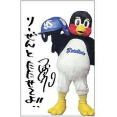 g*a様 つば九郎 ほぼ等身大タオルケット りーぜんとたたせてよ