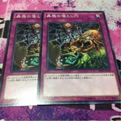 遊戯王 蠱惑の落とし穴 2枚のサムネイル