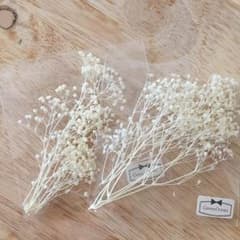 ドライフラワー かすみ草 2袋sのサムネイル