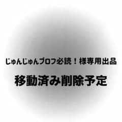 じゅんじゅんプロフ必読！様専用出品 - メルカリ