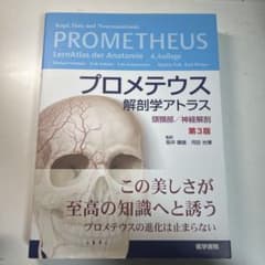 プロメテウス解剖学アトラス 頭頸部/神経解剖のサムネイル