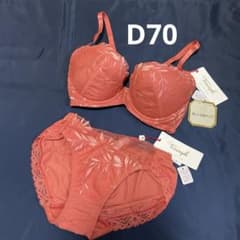 D70/M トリンプ ゴールドレーベル フリージアの花 ブラショーツセット