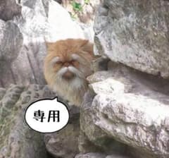 えん 様 専用のサムネイル
