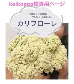keikopoo様専用ページのサムネイル