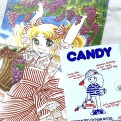 キャンディキャンディポスター＊なかよし付録＊昭和レトロ - メルカリ