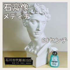 メディチ胸像　石膏像　トルソー　台座あり 直接引渡限定 石膏像 メディチ 胸像 美術 デッサン用 インテリア 高さ