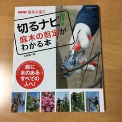 切るナビ!庭木の剪定がわかる本 : NHK趣味の園芸のサムネイル