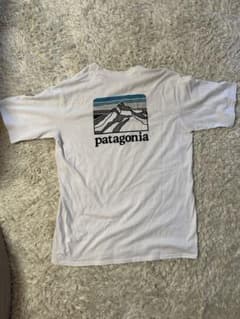 patagonia Mサイズ Tシャツのサムネイル
