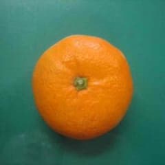 返金用のサムネイル