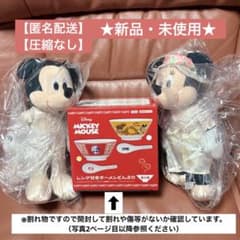 ミッキー＆ミニー　ステンドグラスホラーナイトBIGぬいぐるみ、ラーメンどんぶり