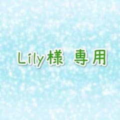 Lily様 専用ページのサムネイル