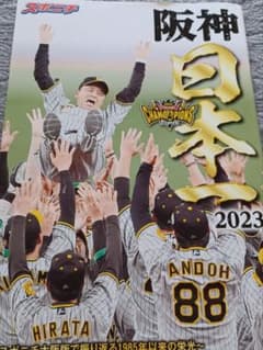 スポニチ阪神記念冊子のサムネイル