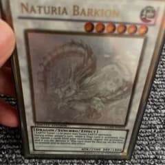 遊戯王　ナチュルパルキオン　英語　ホログラフィックのサムネイル