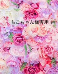 ちこちゃん様専用のサムネイル