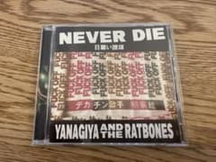 【希少】柳家睦とラットボーンズ『NEVER DIE 日雇い讃歌』2023 希少】柳家睦とラットボーンズ『NEVER DIE 日雇い讃歌』2023 - メルカリ