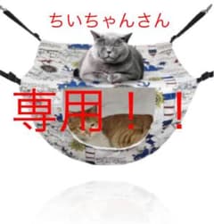 猫ちゃんハンモックのサムネイル