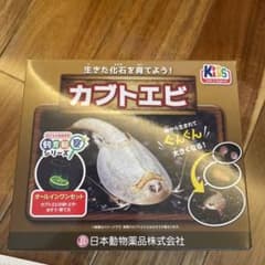 カブトエビ　飼育・観察セットのサムネイル