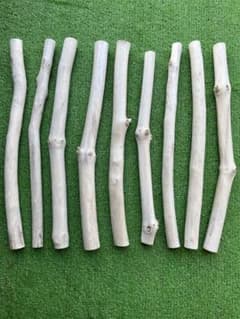 ツルツル流木9本セット③ 加工済み(o^^oのサムネイル