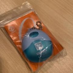 日体大　人工呼吸マスクのサムネイル