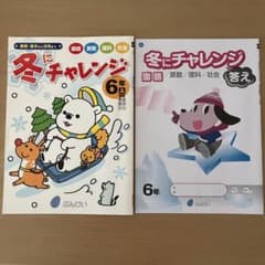 冬にチャレンジ 6年A 答え付き ぶんけい 国語 算数 理科 社会 ドリル