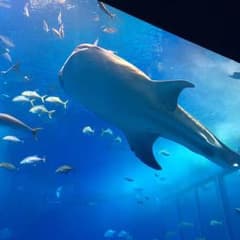 OMIORYU☆発送遅れますさん専用のサムネイル