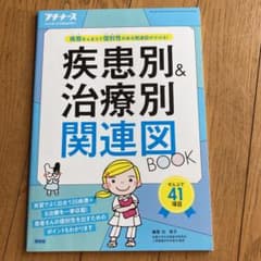 プチナース　関連図のサムネイル