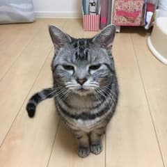 JUNJUN様専用のサムネイル