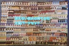 V 1453 Weis W56 그리워하지 않는 그녀의 키우는 방법 덱 파트