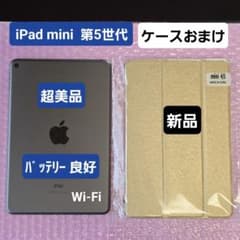 超美品 iPad mini 第5世代 バッテリー良好 新品本体カバーおまけ