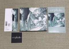 cephalo / Fluorite codeのサムネイル