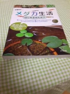 メダカ生活はじめませんか馬場浩司のサムネイル
