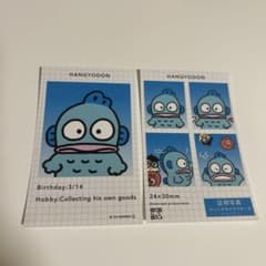 Thumbnail of サンリオ　証明写真風スマロイド　HANGYODON ハンギョドン