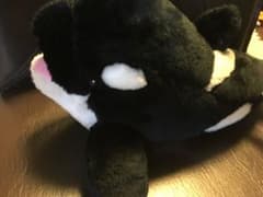 ぬいぐるみのサムネイル
