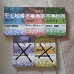 不毛地帯 3冊セット 山崎豊子のサムネイル
