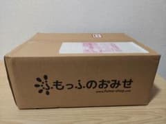 Arbiter Studio にじさんじ ふもこれ コラボ マウスパッド