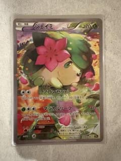 「極美品」シェイミ CP5 幻·伝説ドリームキラコレクション 004/036 極美品」シェイミ CP5 幻·伝説ドリームキラコレクション 004/036