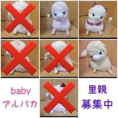 みどりの薔薇様専用♡もふもふアルパカのサムネイル