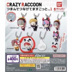 CRAZY RACCOON つまんでつなげてますこっと 1 rionのサムネイル