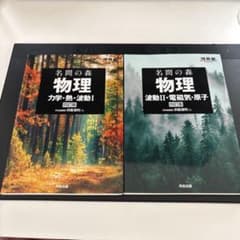 名問の森 物理 2冊　四訂版のサムネイル