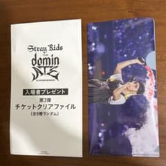 様 straykids スキズ 映画 入場特典 3弾 チケットファイル フィ - メルカリ
