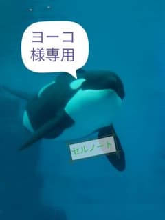 ヨーコ様専用のサムネイル