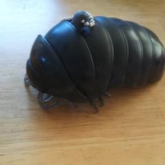 ダンゴムシガチャ だんごむしのサムネイル