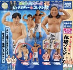 体格ブラザーズ ビックボディコレクション　平子さんBIGフィギュアのサムネイル
