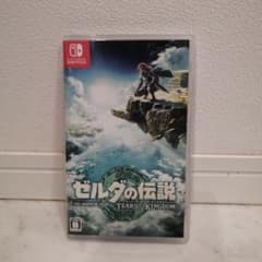 ゼルダの伝説 ティアーズ オブ ザ キングダムのサムネイル