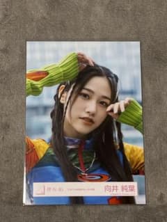 櫻坂46 向井純葉 生写真 引きこもる時間はないのサムネイル
