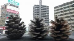 Inotaro様専用のサムネイル