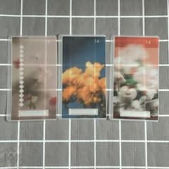 FLOWERS　貯金リフィル　3枚　リング穴ありのサムネイル