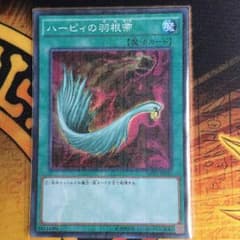 ハーピィの羽根箒のサムネイル